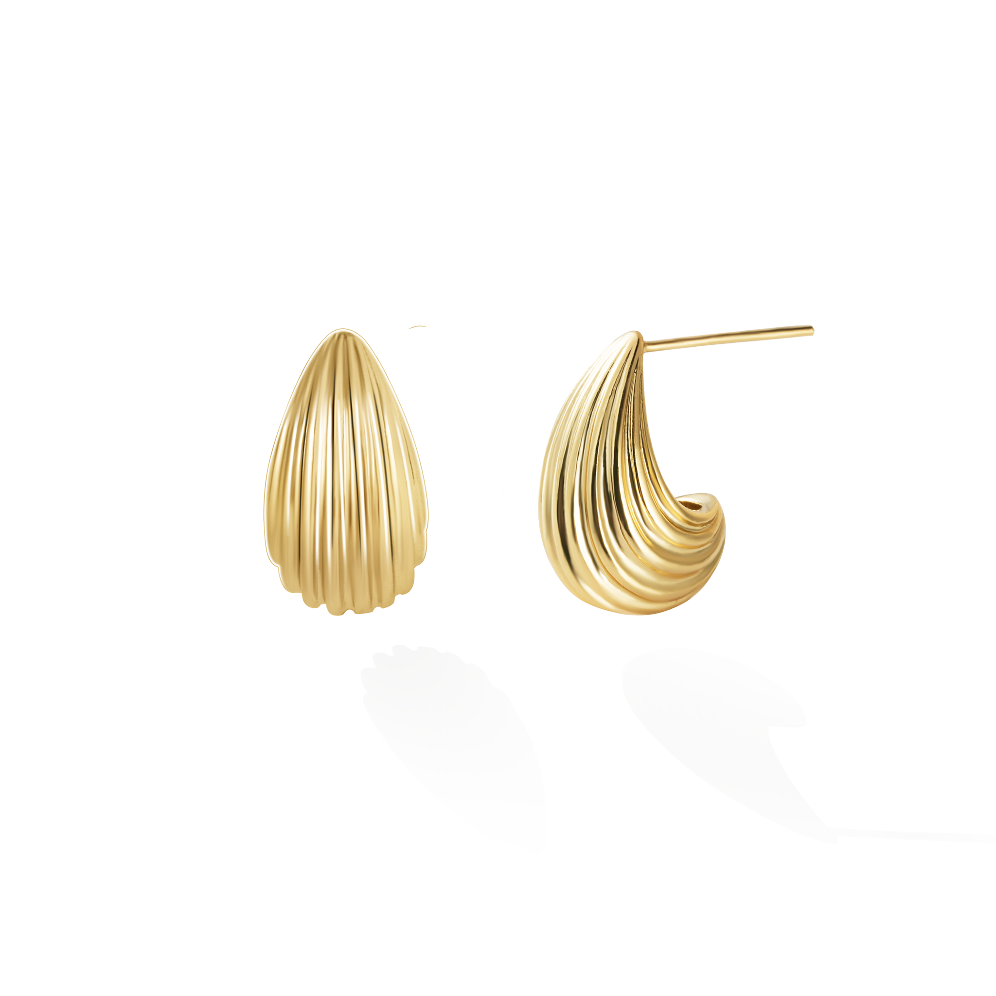 Conch Whisper Stud Earrings - Yellow Gold