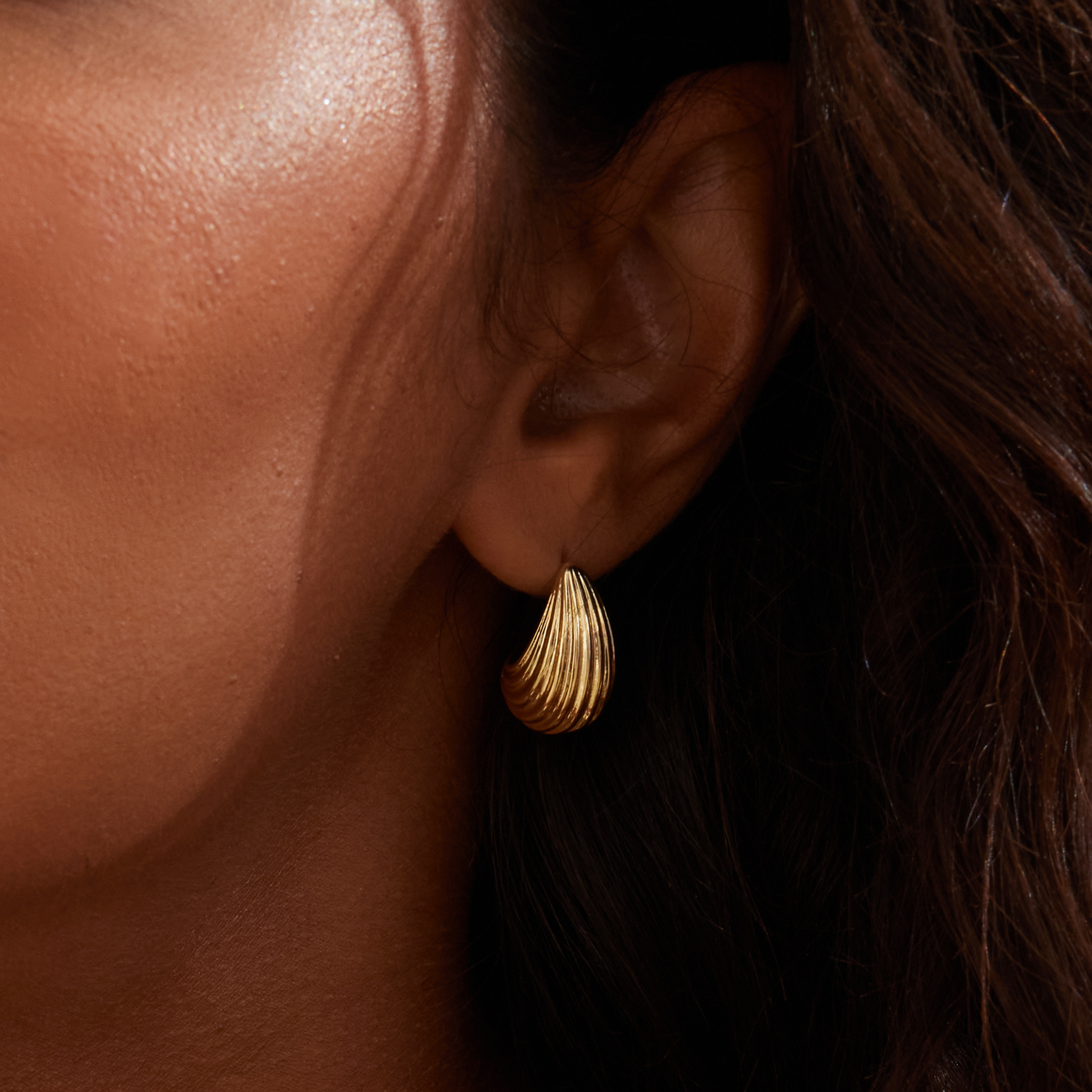 Conch Whisper Stud Earrings - Yellow Gold