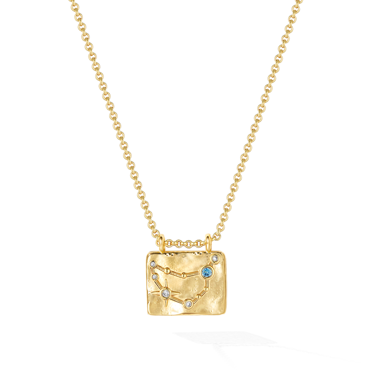 Enigmatic Capricorn Stellar Cartography Necklace