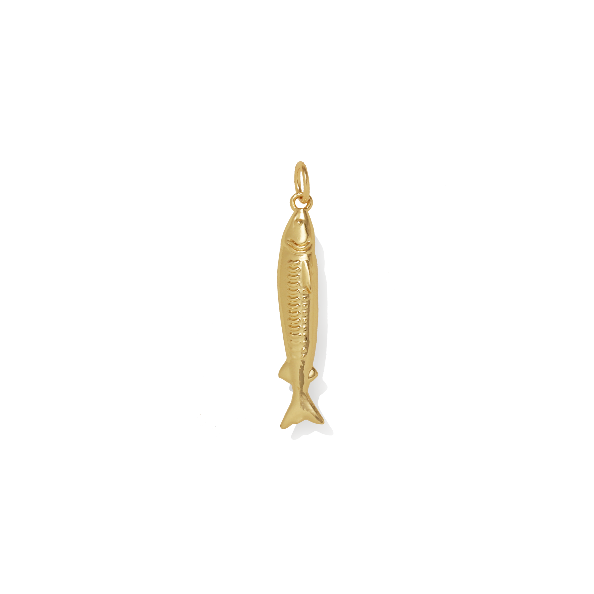 Catch of the Day Fish Charm