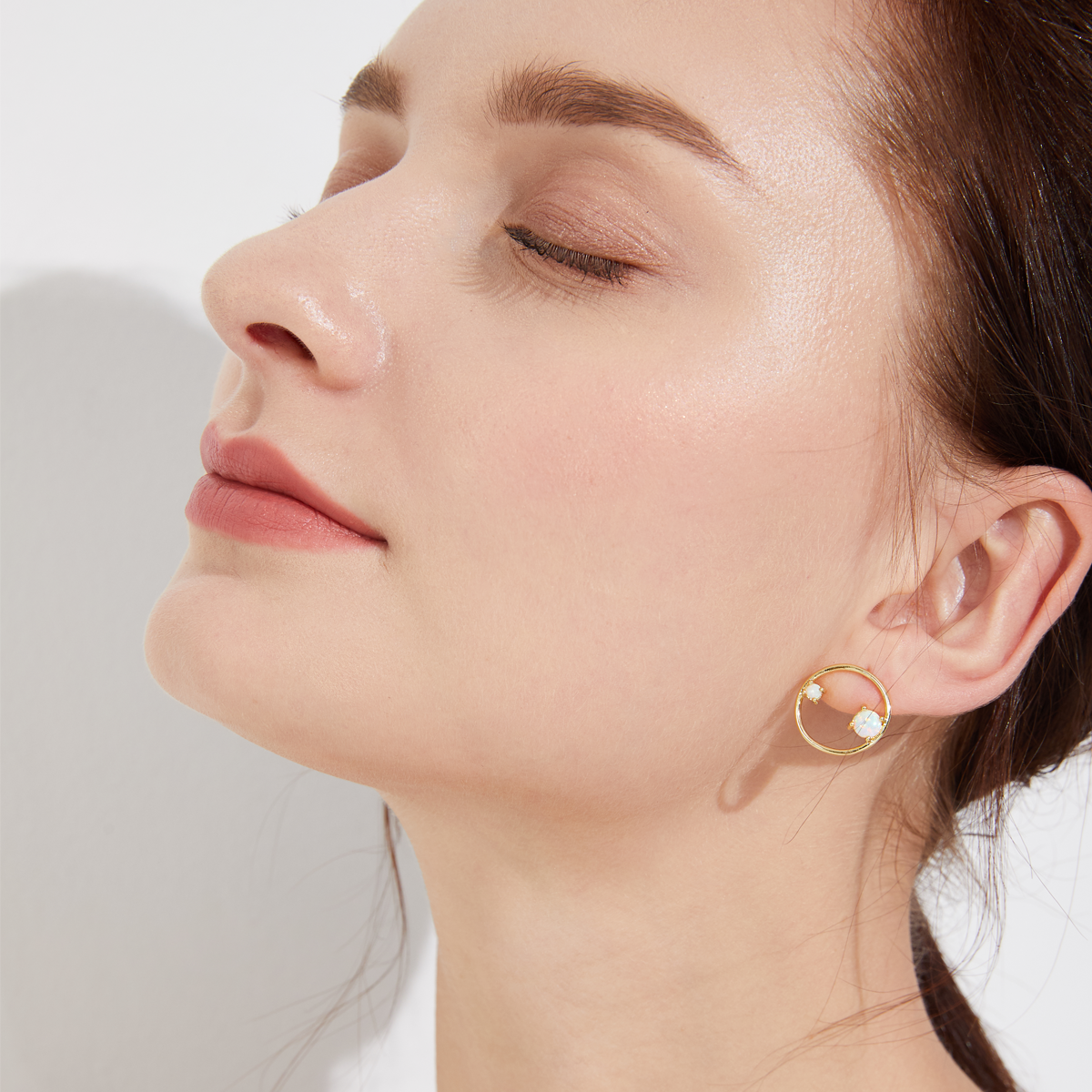 Ring of Jewels Earrings - Silver