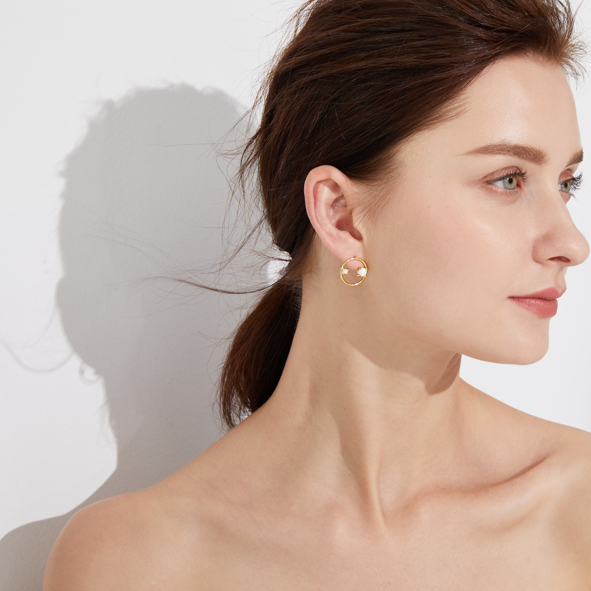 Ring of Jewels Earrings - Silver