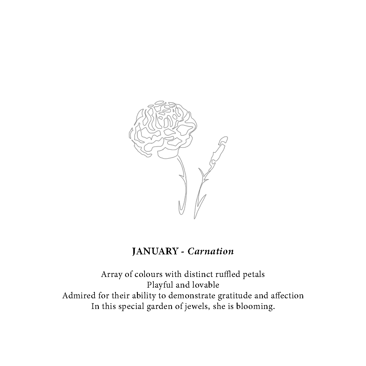 January Birthflower Earrings - Charming Carnation