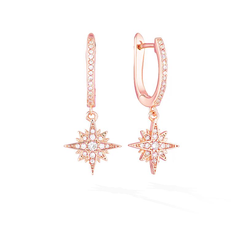 Rose gold star hoop 2025 earrings